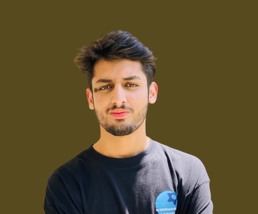Hamza Fareed Profile
